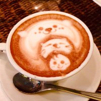 maimais (@like_a_flower66) Twitter profile photo