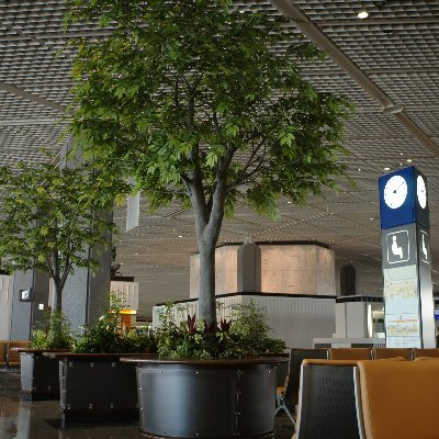 naturedesign007's profile picture. 小さなフェイクグリーンメーカーの(有)ネイチャーデザインです。 主にフェイクグリーンの情報を発信