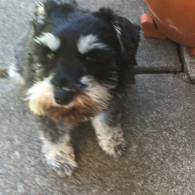 gchamp_69's profile picture. 