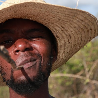 KaribuKilifi's profile picture. Live . Eat . Play