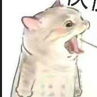 lanhubiji.bnb (@mbolick56) 's Twitter Profile