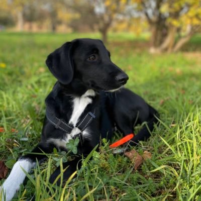 Jdc24046228's profile picture. 