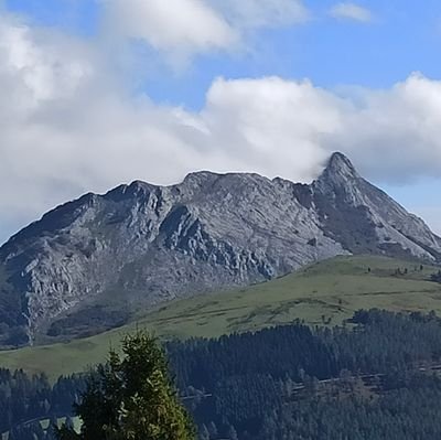 Aita eta irakasle. Ikasten eta desikasten.