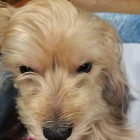 ne önemi var ismimin:) (@aaassl2) Twitter profile photo