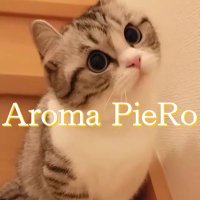 Aroma.PieRo 上野 (@aromapiero2) 's Twitter Profile