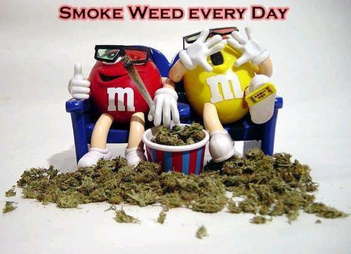 Smoke erryday