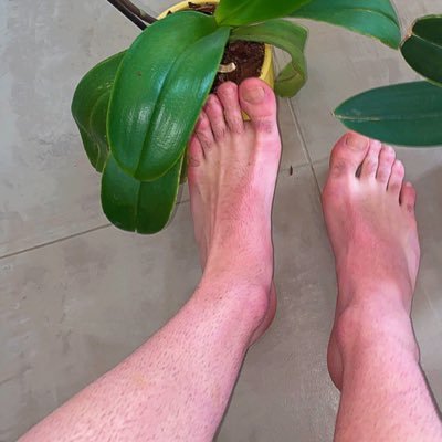 FeetAsss's profile picture. Feet master, 🦶🏻🦶🏻 Tout sur mym, va raquer 🍆 je répond à vos demande sur mym 🥵RT petite pute #fetish #gayslave #slave  #feet #feetporn #food #pied #porn