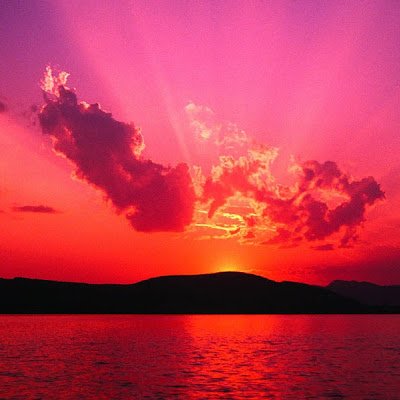 vera_onice's profile picture. 