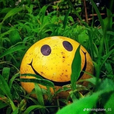 BrunoMa93762563's profile picture. 