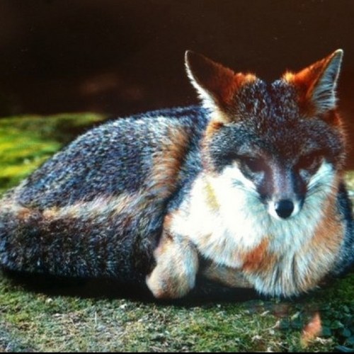 cla333's profile picture. 