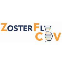 ZosterFluCOV (@zosterflucov) 's Twitter Profile Photo ZosterFluCOV (@zosterflucov) 's Twitter Profile Photo