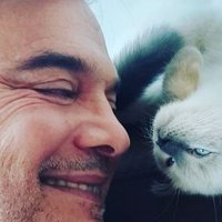 Talat Atilla (@talatatilla) 's Twitter Profile Photo Talat Atilla (@talatatilla) 's Twitter Profile Photo