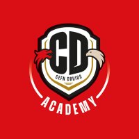 Cefn Druids Academy(@druidsyouth) 's Twitter Profile Photo