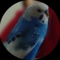 はっぴーちゃ (@happy_tya1982) Twitter profile photo