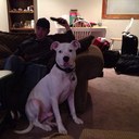 sean warwick - @sean2t - Twitter