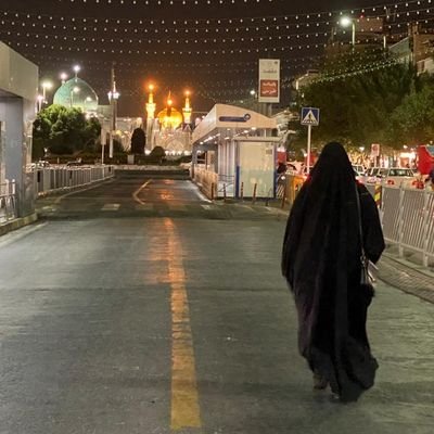 AlizadehSogol's profile picture. ‏‏‏‏صاحِبنا العجل 💚