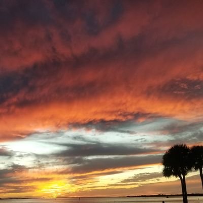 WildFreedom9's profile picture. Living Wild and Free 🇺🇲