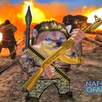 Cajun Fella 🇺🇦 (@fellafighting) Twitter profile photo