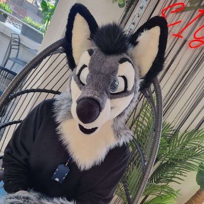 Furrygilas Profile Picture