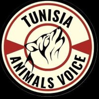 Tunisia Animals Voice(@TuniAnimalVoice) 's Twitter Profileg