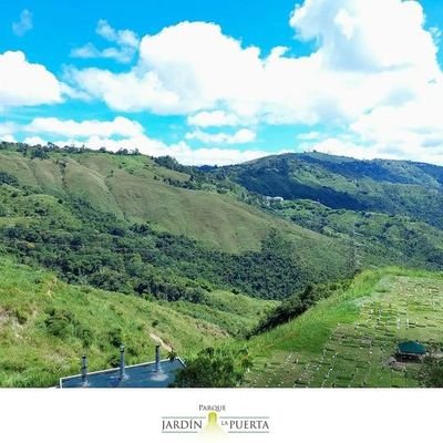 negronud4's profile picture. 