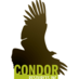 Condor Resources Inc (@CondorResources) Twitter profile photo
