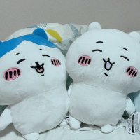 がぶりあす (@sakanasan1x2x3) 's Twitter Profile
