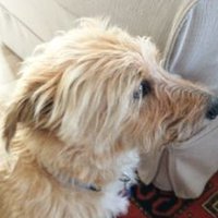 kennedydot (@kennedydot2) 's Twitter Profile