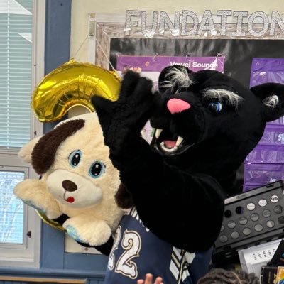 Collingswood High Schools Mascot. Best mascot in the COLONIAL CONFERENCE. 🏆 Public Enemy is @CLevinCHS315