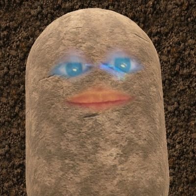 altrego95086480's profile picture. 