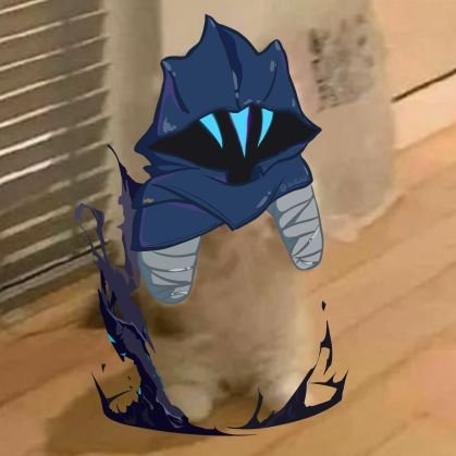 RubyChan_VRC's profile picture. u have to get worse to get better