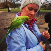 Ads Rankin (@adsrankin1) 's Twitter Profile