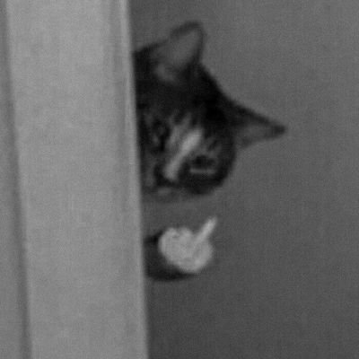 ihateeggs15's profile picture. I FUCKING HATE EGGS!!