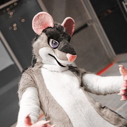 Sfw Suiter account! All the rat without all the extra...Stuff!
✂️: https://t.co/l5ADaR17OU