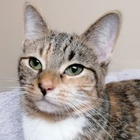 Rob19 (@robroy35025261) 's Twitter Profile Photo