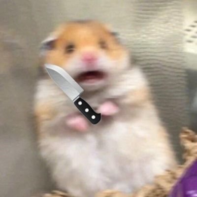 maygamboo12's profile picture. ibelieve in memes more than strangers
 : 
 I love formula 1