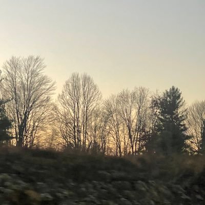 Haley461577661's profile picture. 