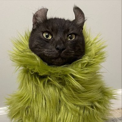 isabelanorton's profile picture. essencialmente séria, exceto quando debochada ⚡️ esse perfil é um eterno #wpproblems com pipipi pópópó aleatório #pvt 