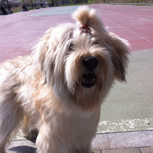 hmpak0729's profile picture. 태희야 오래오래 행복하게 살자
자유를 누리며 행복하게 살 수 있는 세상