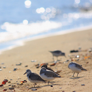 takpoo's profile picture. ファミコン世代♂ 猫との楽しい生活。