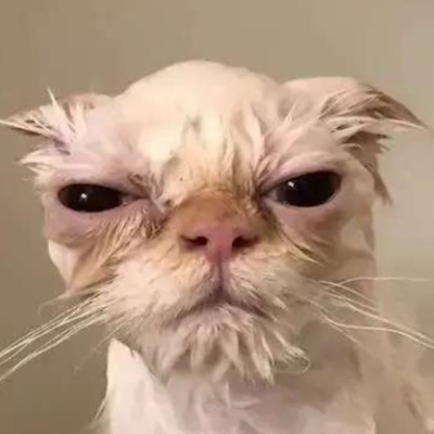 TerrorsHouse's profile picture. 