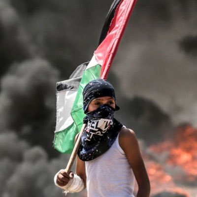 pleinf93's profile picture. 