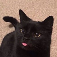 mawuli (@buabaj_) 's Twitter Profile Photo mawuli (@buabaj_) 's Twitter Profile Photo