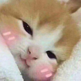 Jip3g's profile picture. 