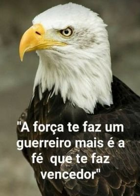 Roberto87836180's profile picture. HOMEM É O QUE EIE FAZ, E NÃO O QUE DIZ!