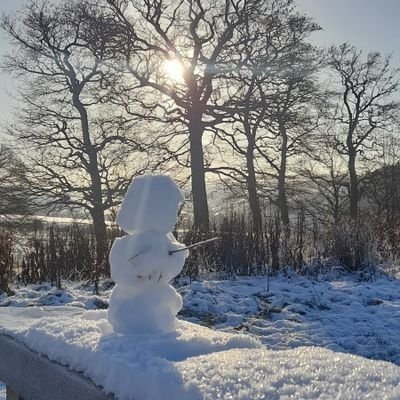 Christo91096224's profile picture. Socialist