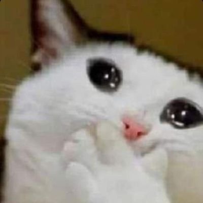 Sai_k1sh0re's profile picture. Computer Science student at IIT Kharagpur.