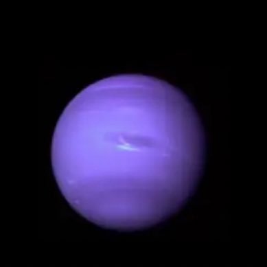 officalme1238's profile picture. 