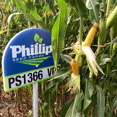 Phillips Seed Farms is a regional seed company.  We provide crop seed through a network of dealers to Iowa, Kansas, Missouri, Nebraska and Oklahoma.