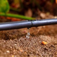 Muthengi (@rixmutisya) 's Twitter Profile